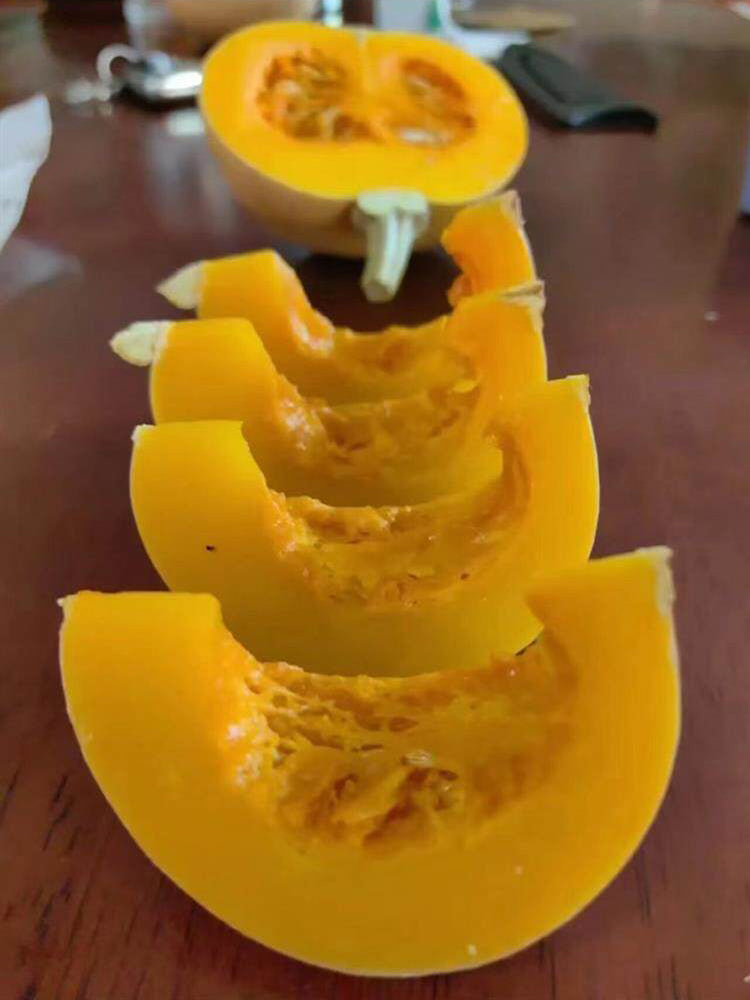 Jinyu 888 Pumpkin