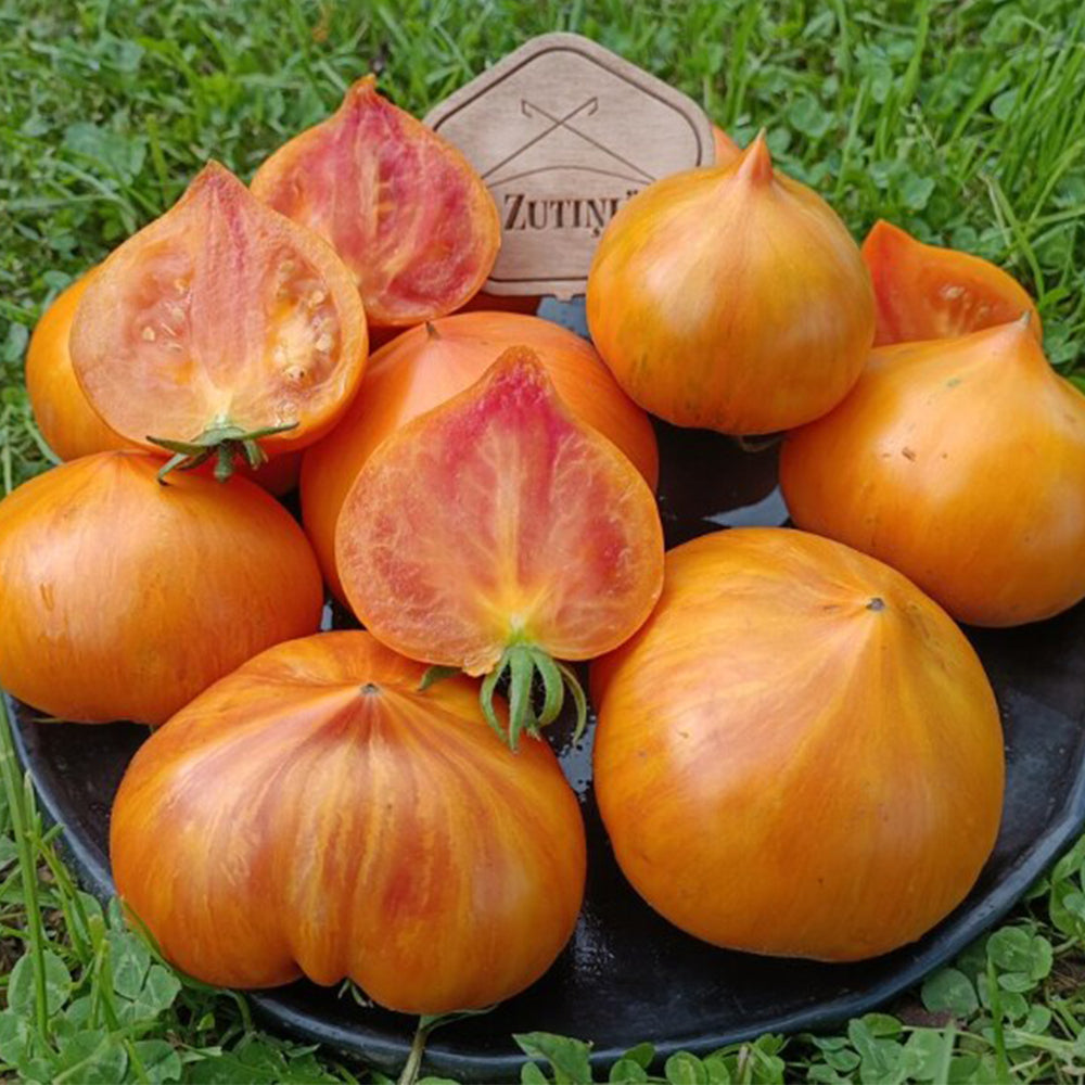 738 Rainbow Jazz Heart Tomato