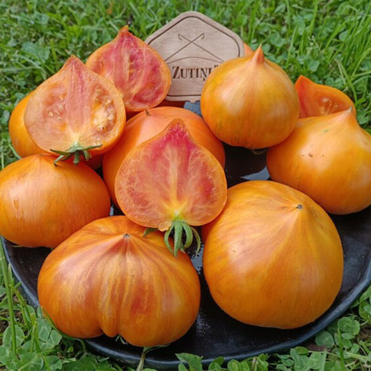 738 Rainbow Jazz Heart Tomato