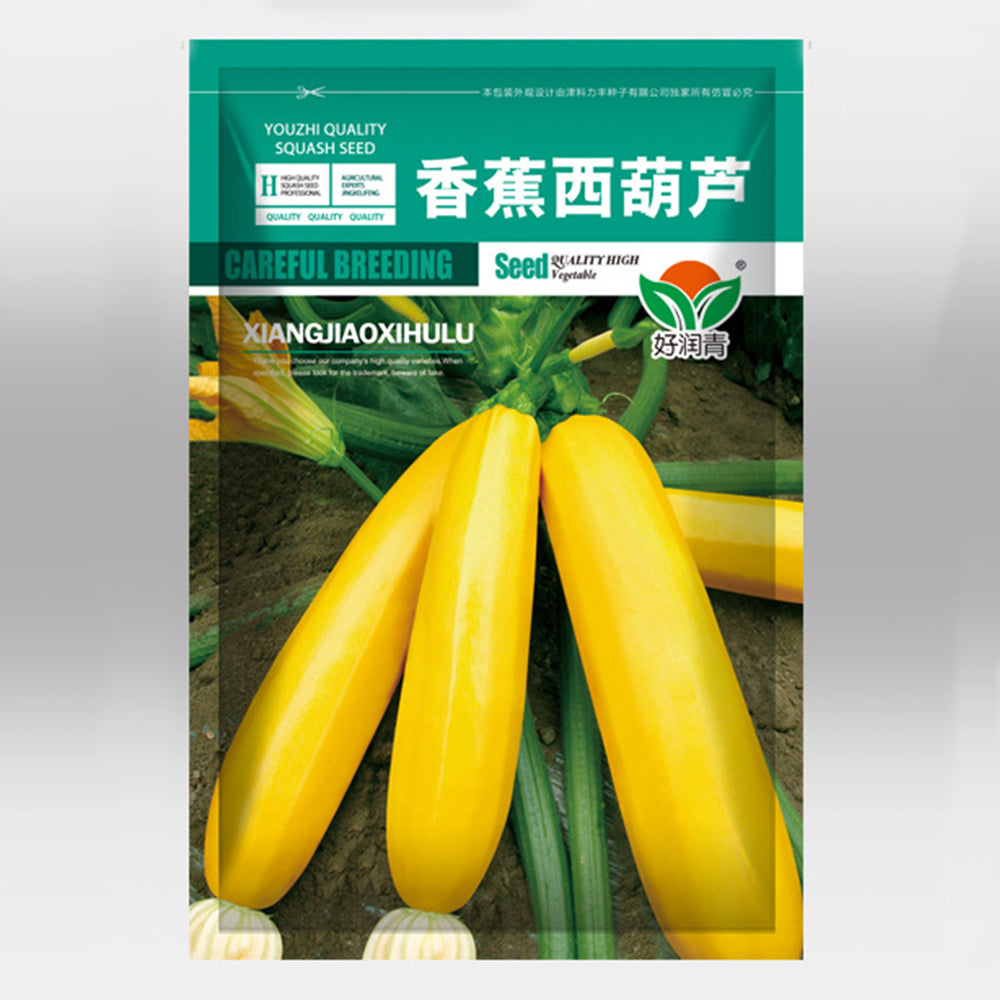 5 Bags (10 Seeds / Bag) of Yellow Zucchini Seeds, 'Yellow Banana' series