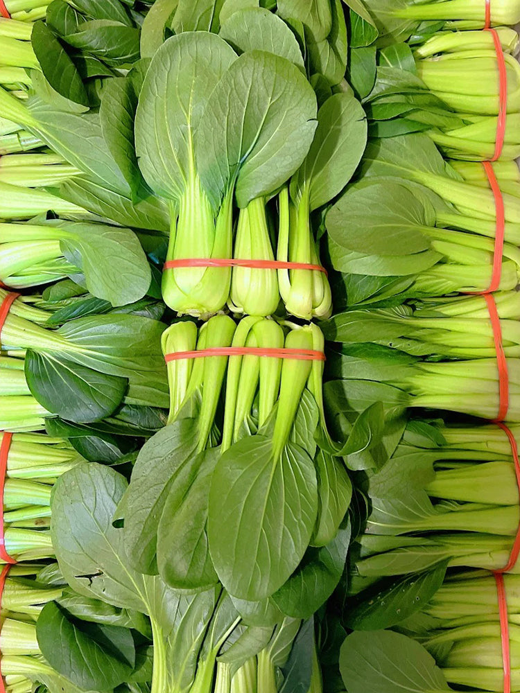 Qingjiang Sweet Pak Choi