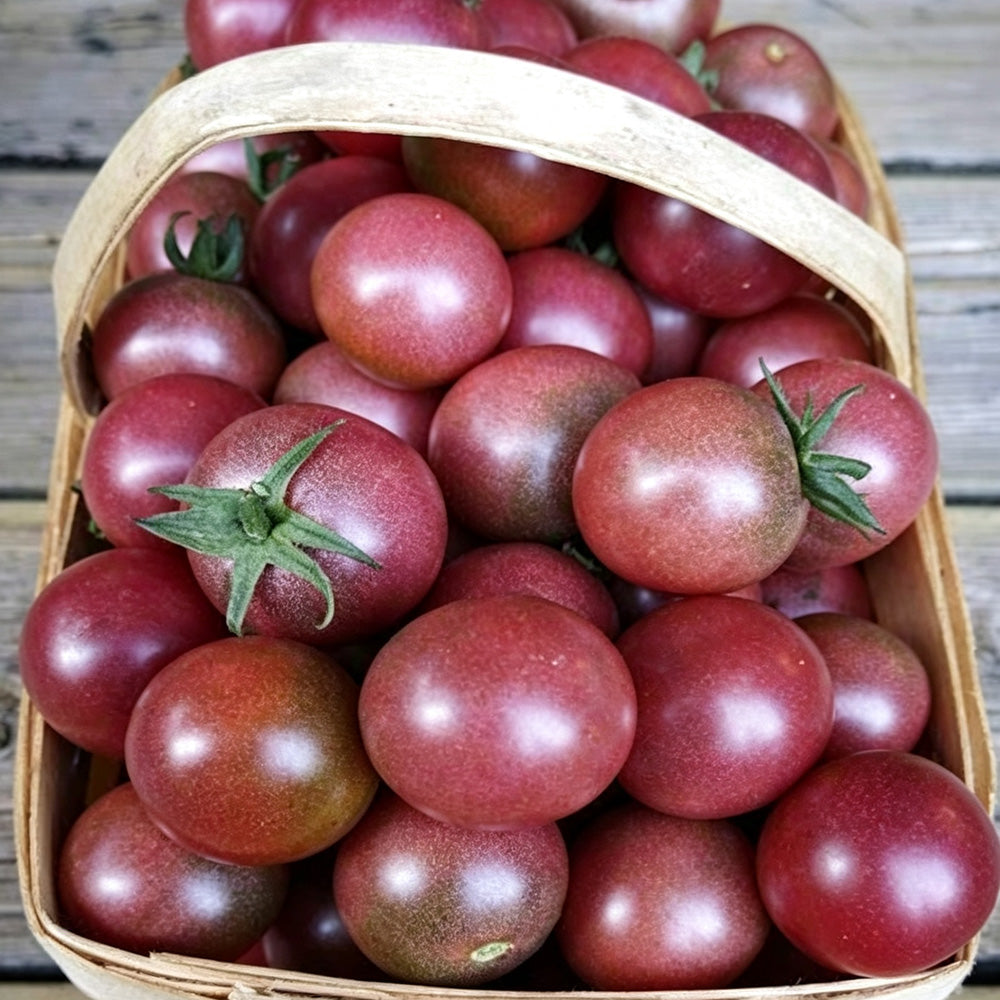 610 Reinhard Kraft's Purple Sugar Cherry Tomato