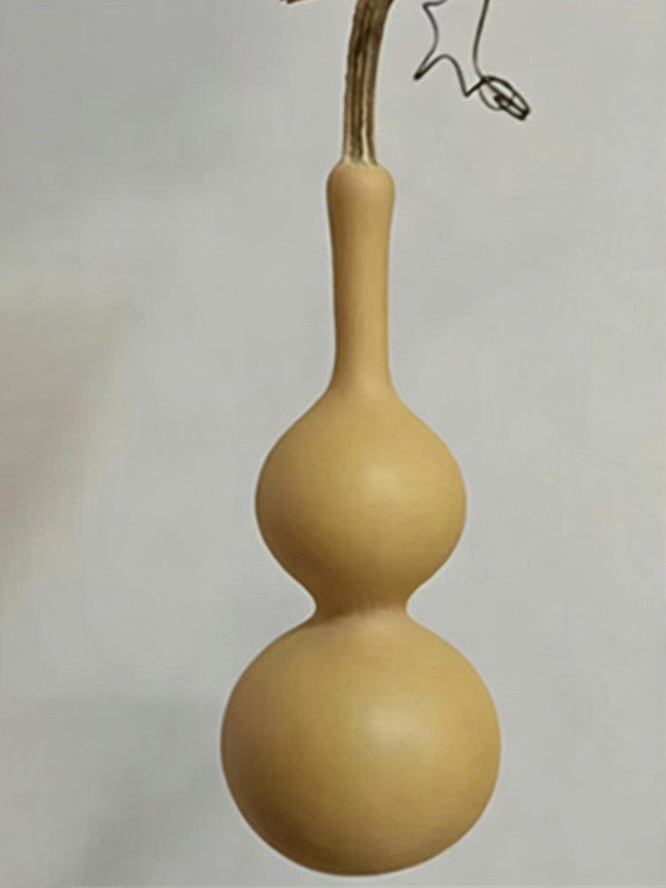 Tianjin Mouth Gourd