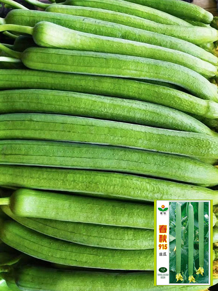 Spring-Autumn 915 Luffa