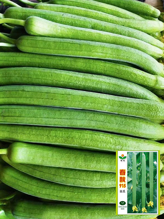 Spring-Autumn 915 Luffa