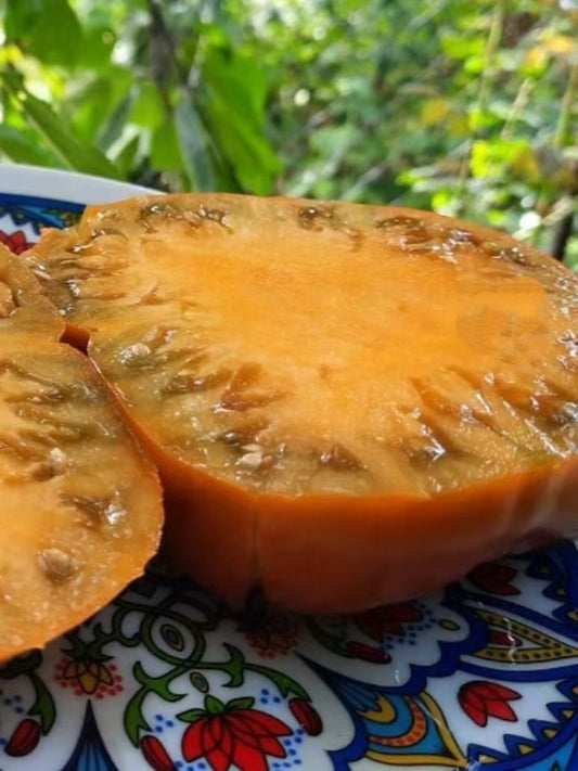 976 Caramel Lake Tomato