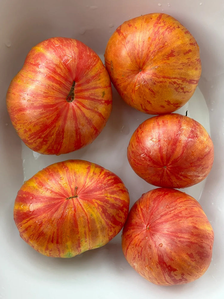 'Vintage Wine' Tomato