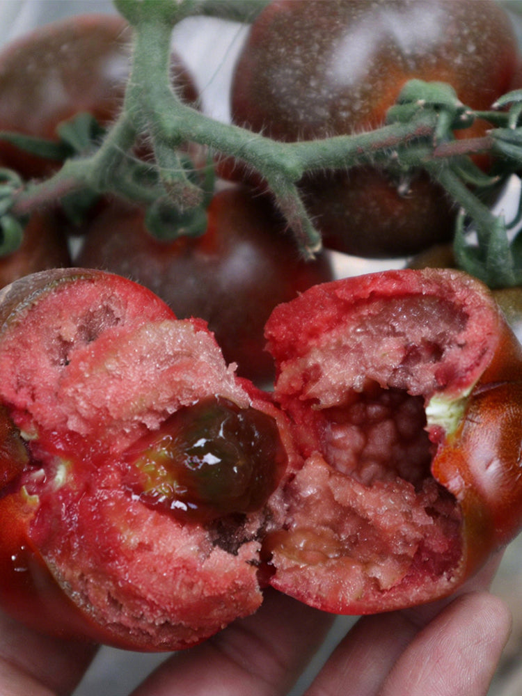 Purple Peach Tomato