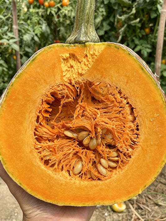 Honey Jar Pumpkin