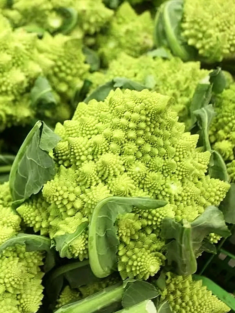 Green Romanesco