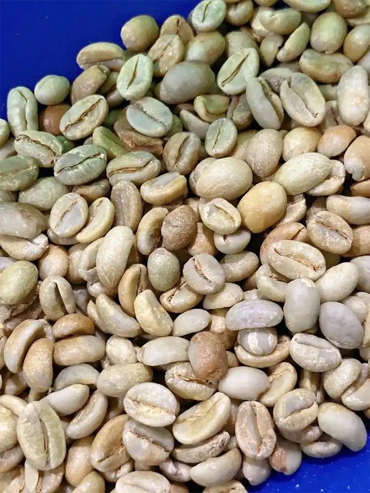 Yunnan Pu'er Catimor Parchment Coffee