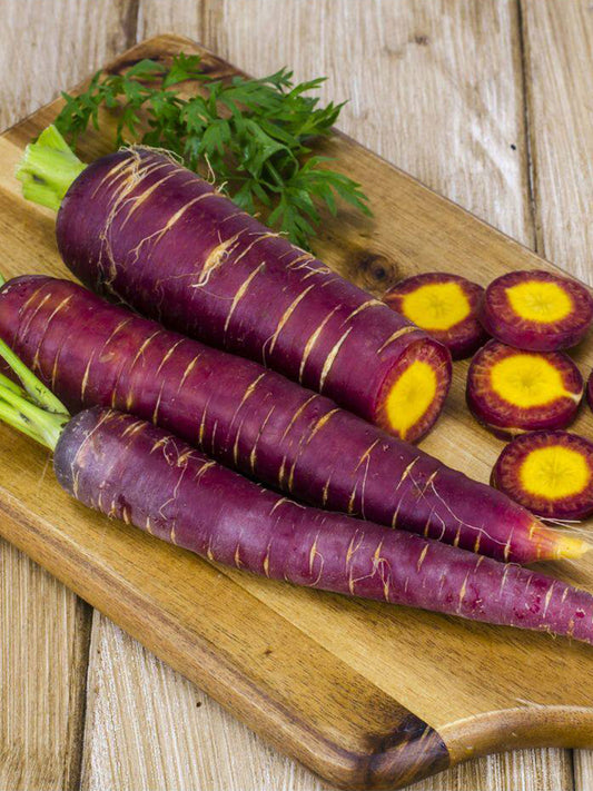 Purple Carrot F1