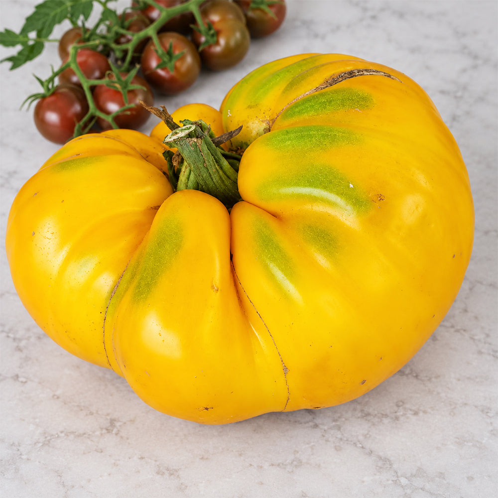 422 Tsarevich Tomato