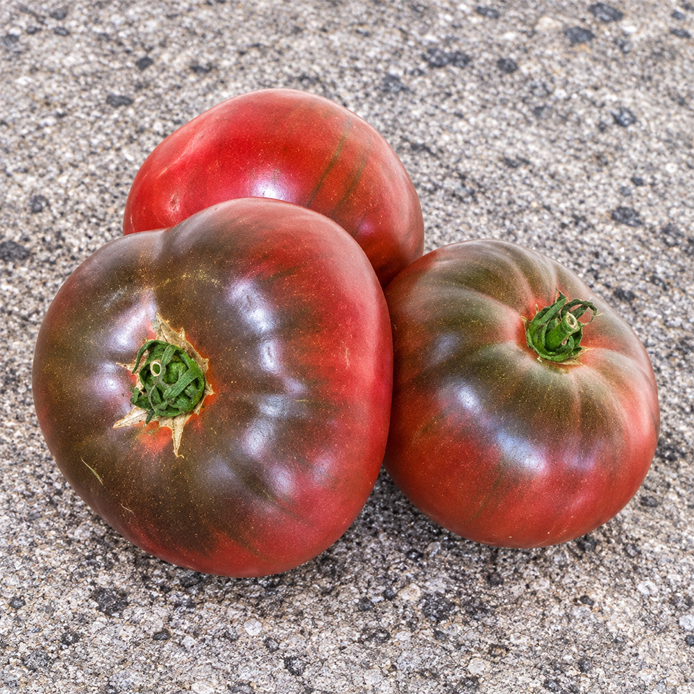 405 Violet Noir Tomato
