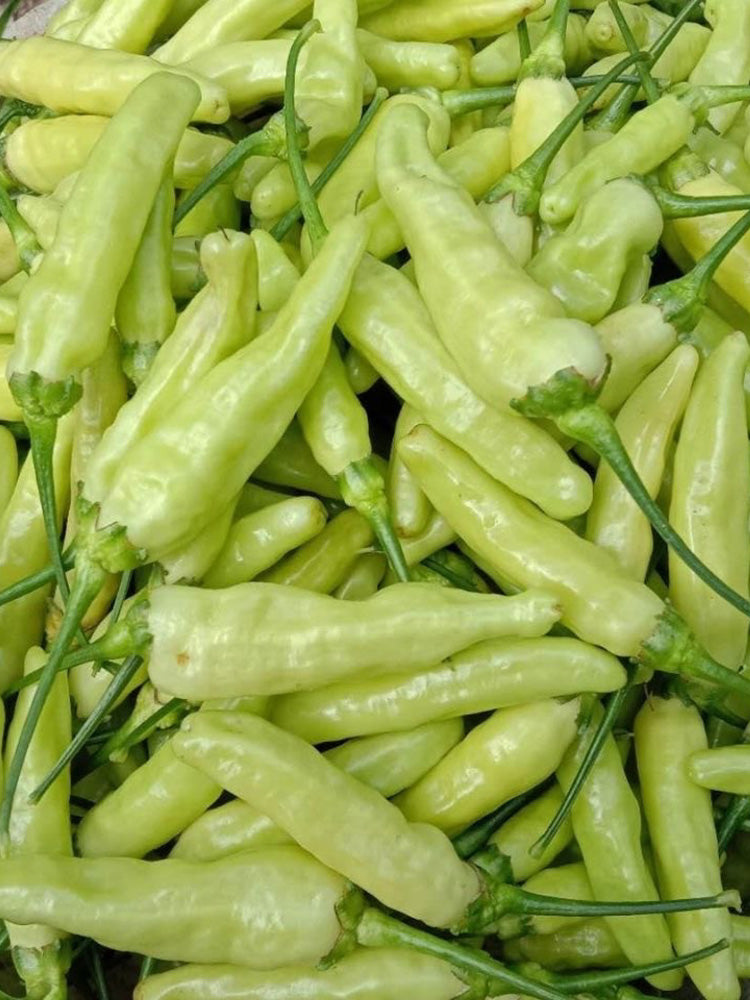 Pickling Pepper