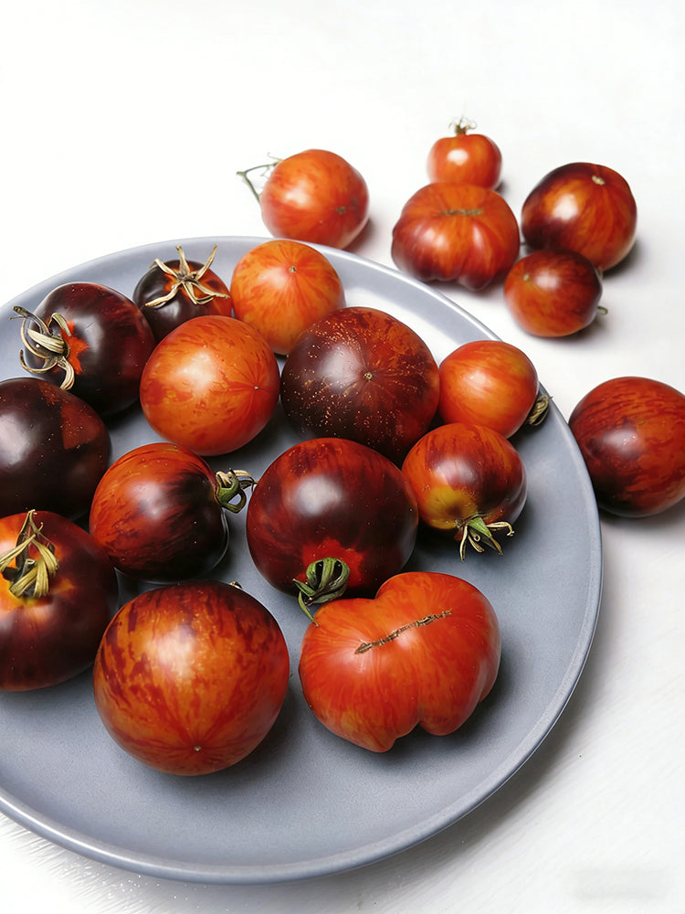 K Night Queen Tomato