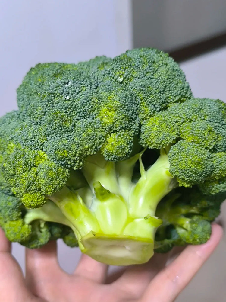 Broccoli