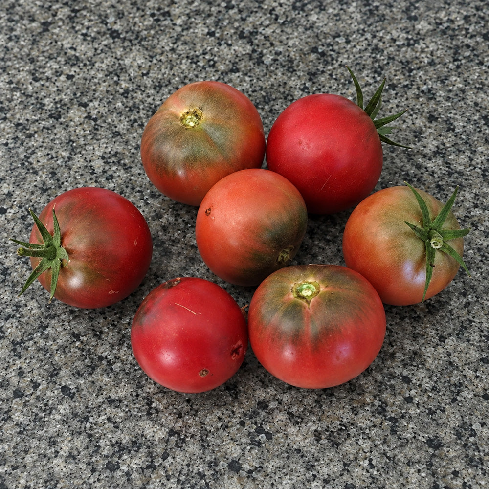 364 Dwarf Mary's Cherry Tomato