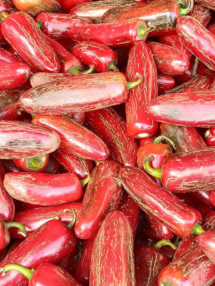 Sausage Pepper