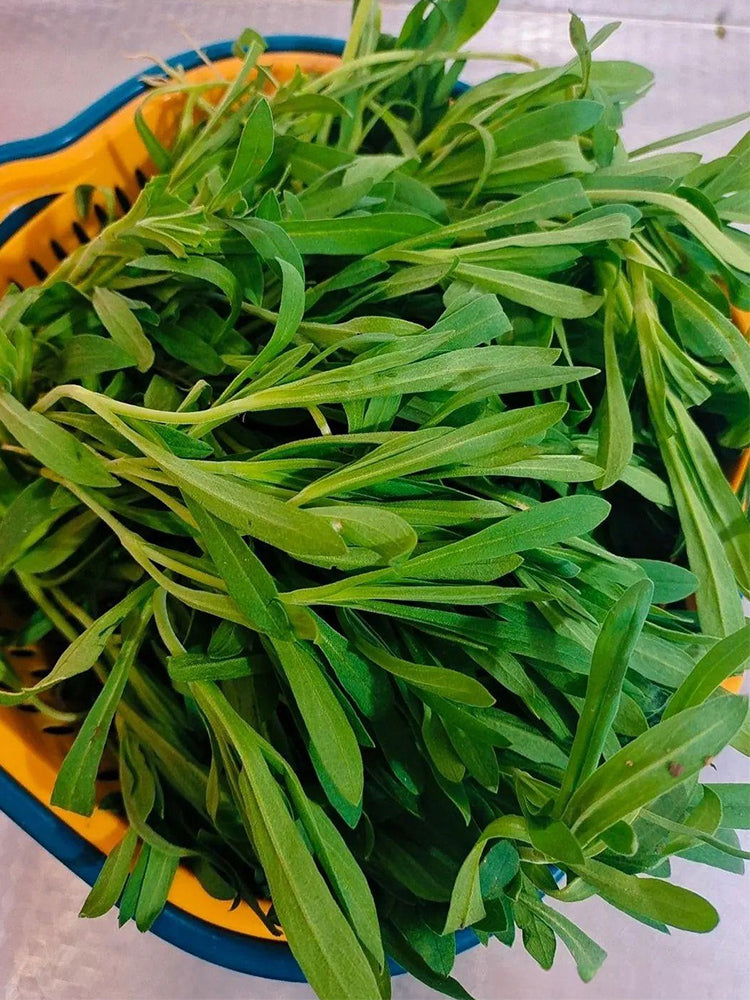 Noodle Vegetable