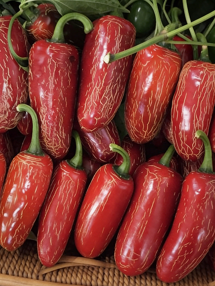 Sausage Pepper