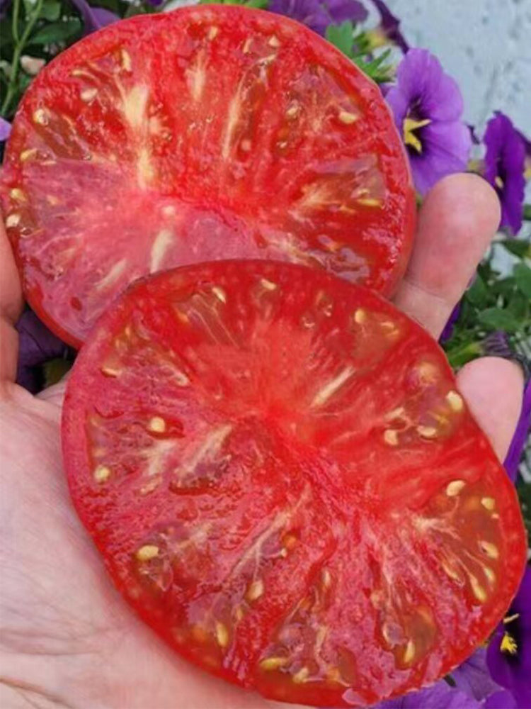 Crimson Long Skirt Tomato