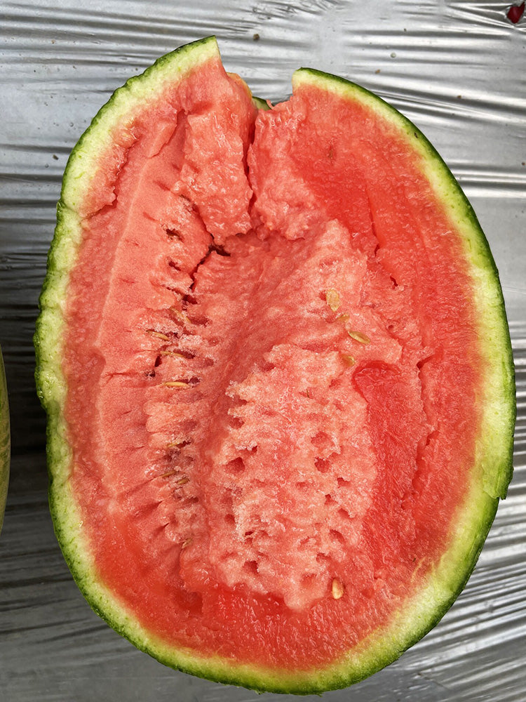 'Super Sweet 2K' Watermelon