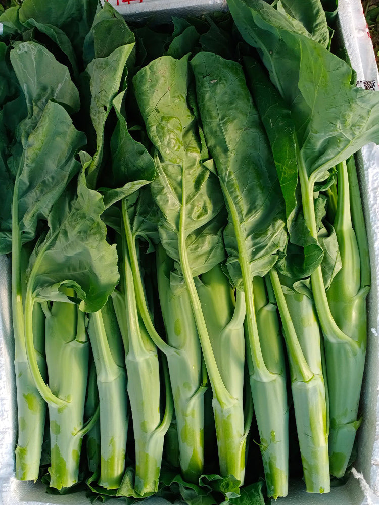Sweet-Crispy 'Zhonghua' Chinese Kale