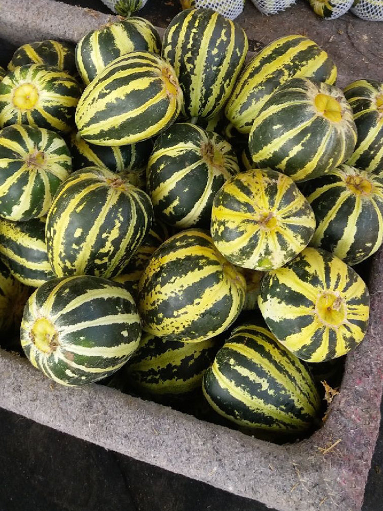 Bing Tangzi Melon