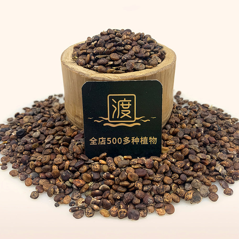 Bellfarm® Pueraria lobata Kudzu Seeds