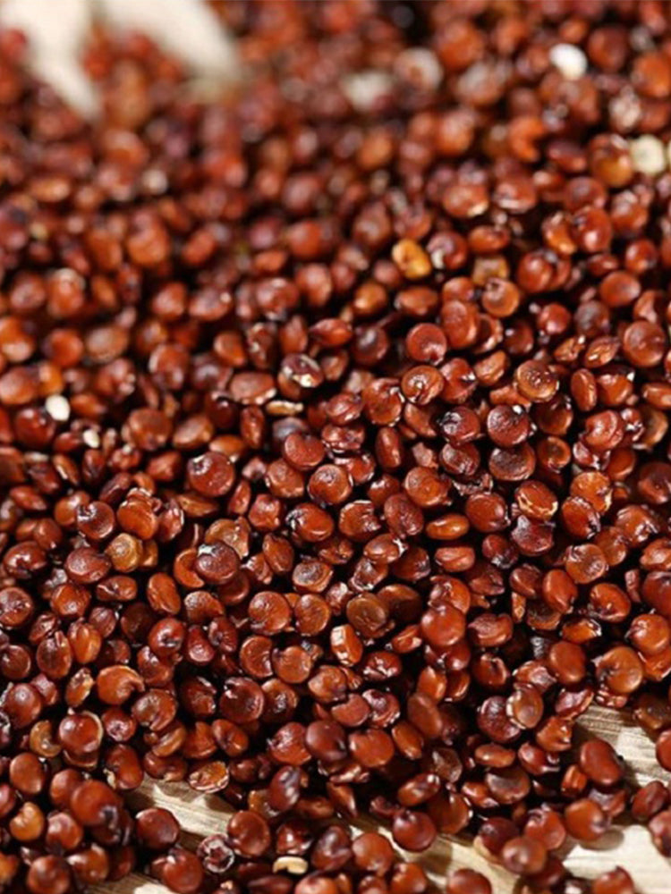 Red Quinoa