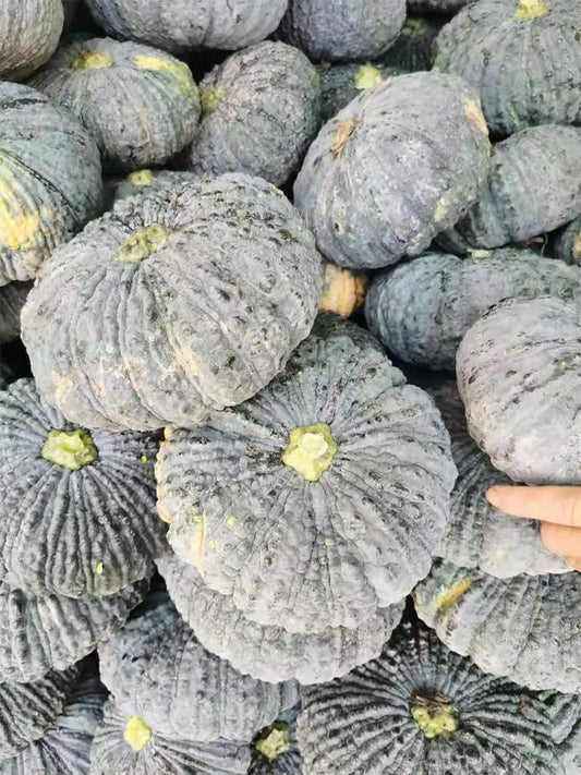 Thai 'Gold Coin' Pumpkins