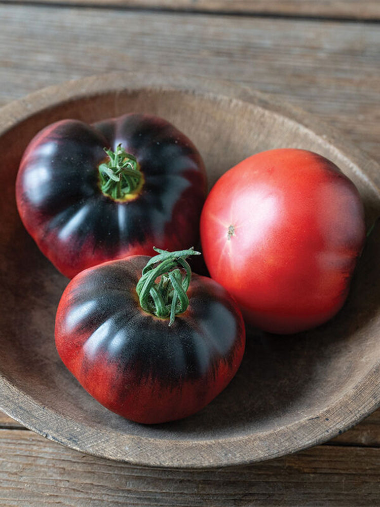 'Indigo Blue Beauty' Tomato