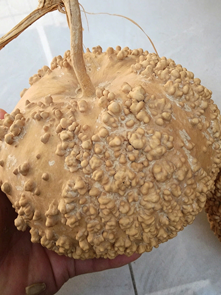 Man Tian Xing Gourd