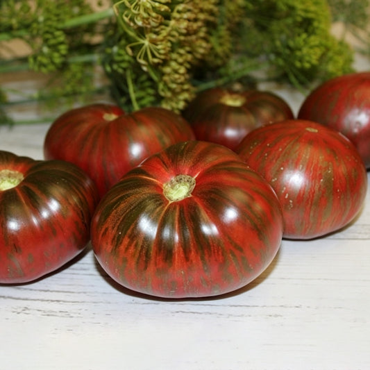 627 Dwarf Mississippi Queen Tomato