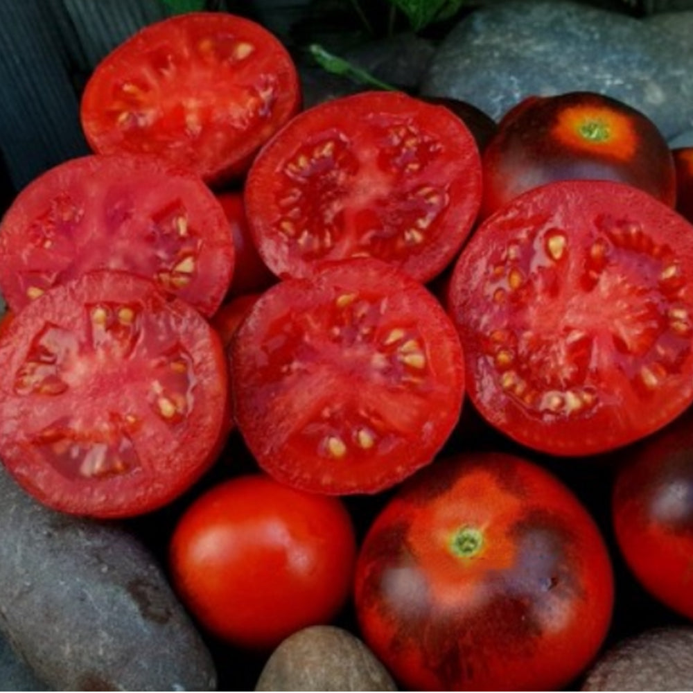721 Bandit Queen Tomato