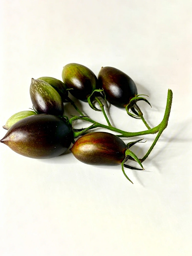 Atomic Fusion Tomato