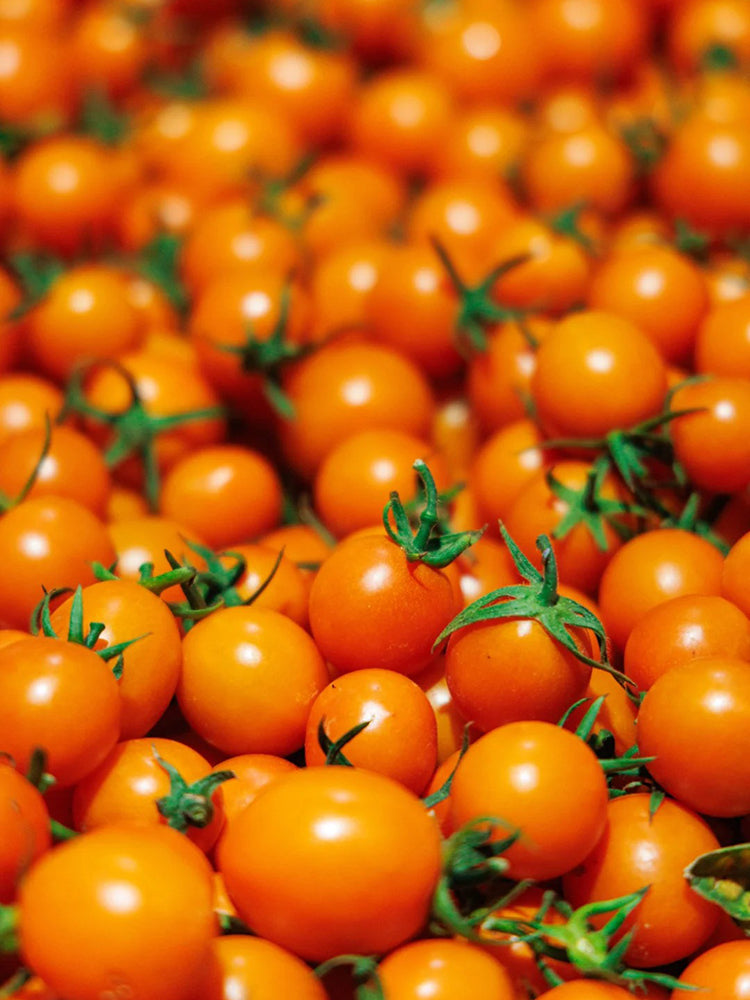 Golden Emperor Cherry Tomato