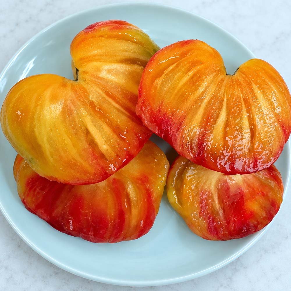 631 Orange Orangutan Tomato
