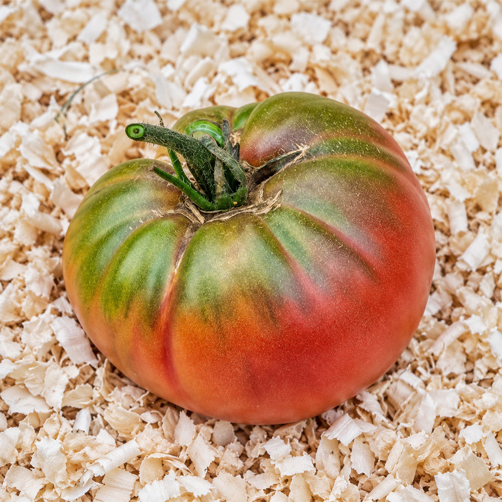 520 Jeff Davis Tomato