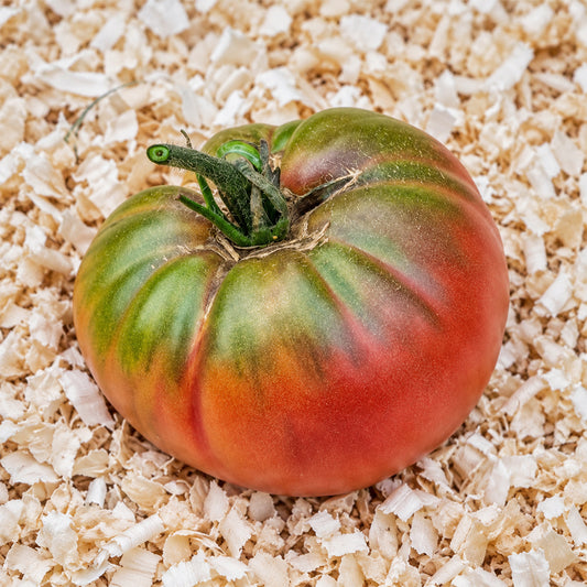 520 Jeff Davis Tomato