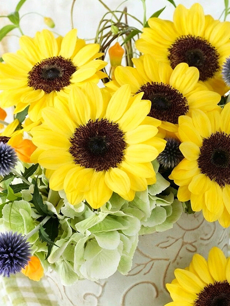 Vincent Yuzu-colored Sunflower