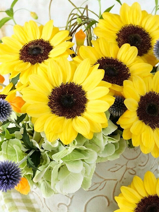 Vincent Yuzu-colored Sunflower