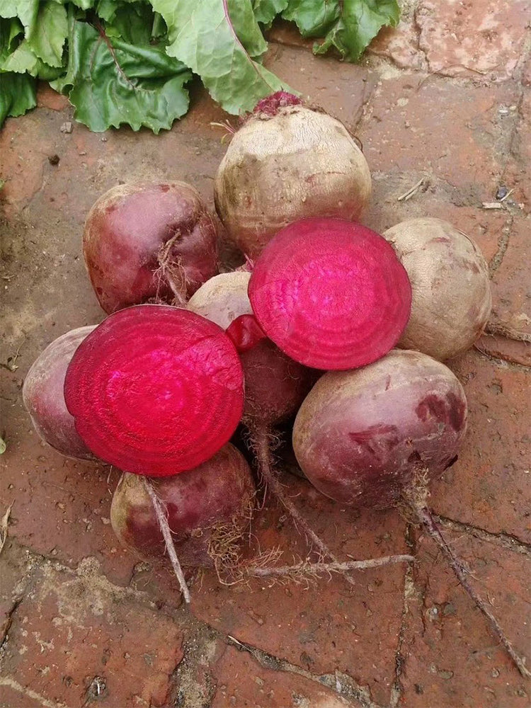 Globular Beetroot