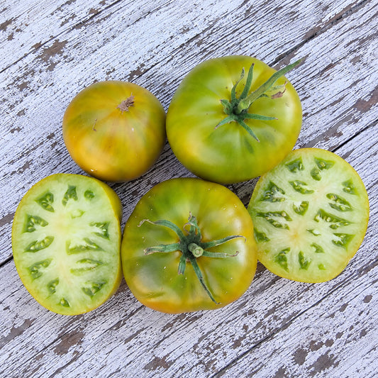 354 Cherokee Green Tomato