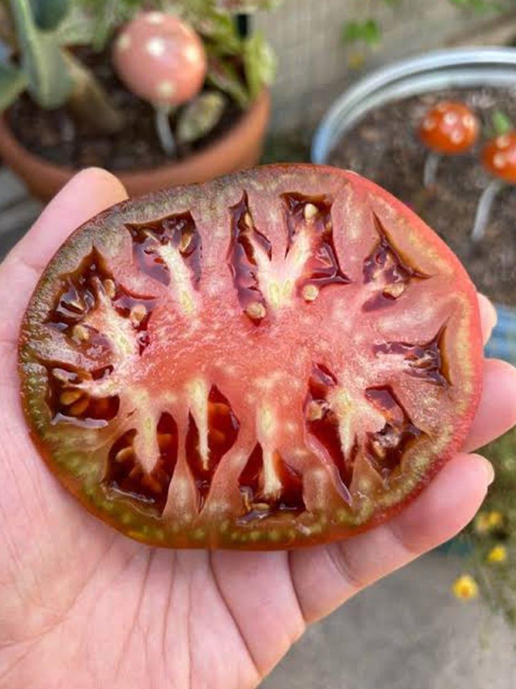 Black Krim Tomato