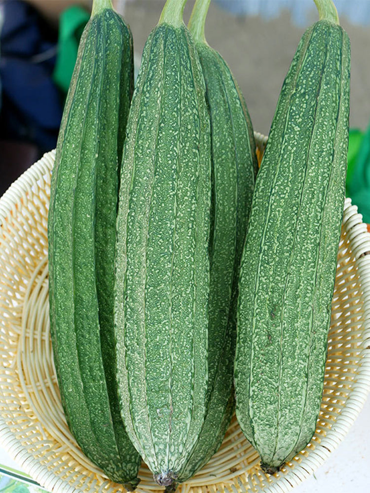 Meiling No.1 Luffa