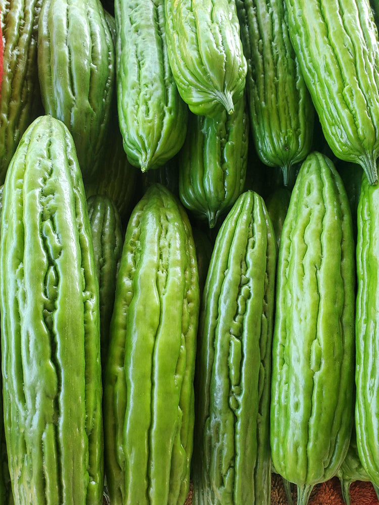 Jiemei 23 Bitter Gourd