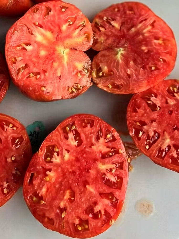 865 Galact Tomato