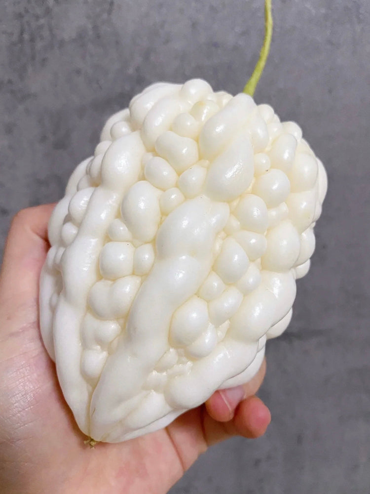 Apple Bitter Gourd
